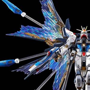 ＲＧ 1/144 ストライクフリーダムガンダム用 拡張エフェクトユニット“天空の翼”【再販】