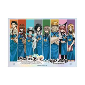 【STEINS;GATE】 オ－ロラアクリルパネル